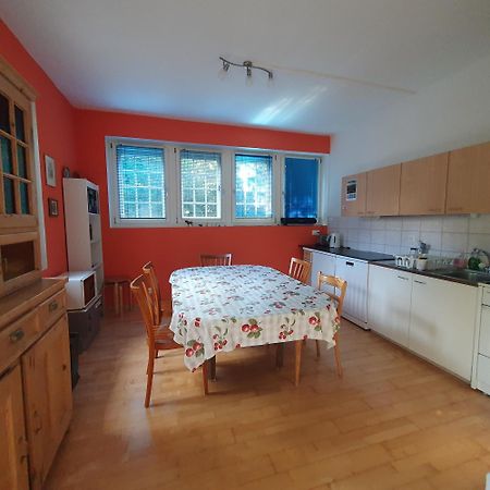 Zentral Gelegene Wohnung Mit Grossem Garten Ιντερλάκεν Εξωτερικό φωτογραφία