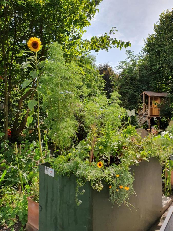 Zentral Gelegene Wohnung Mit Grossem Garten Ιντερλάκεν Εξωτερικό φωτογραφία