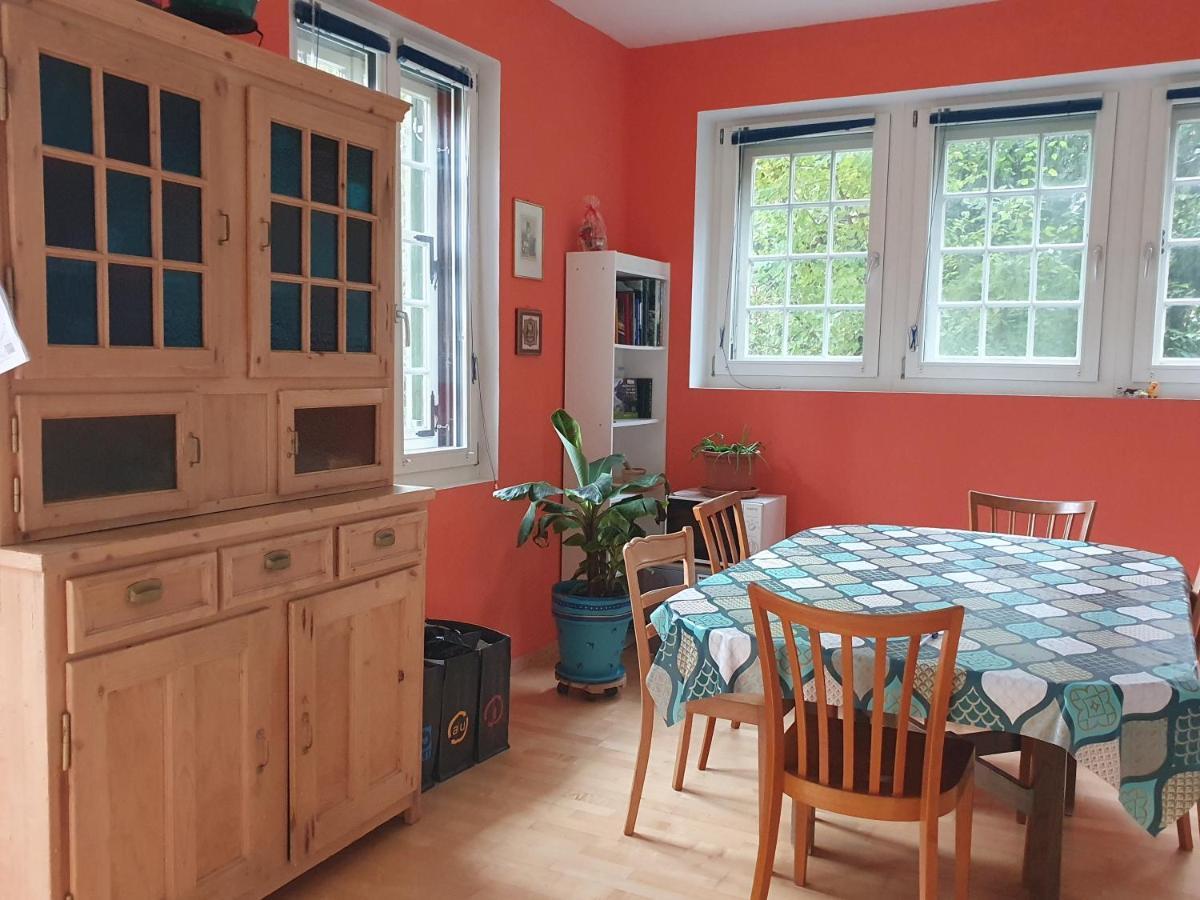 Zentral Gelegene Wohnung Mit Grossem Garten Ιντερλάκεν Εξωτερικό φωτογραφία