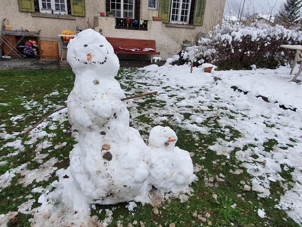 Zentral Gelegene Wohnung Mit Grossem Garten Ιντερλάκεν Εξωτερικό φωτογραφία